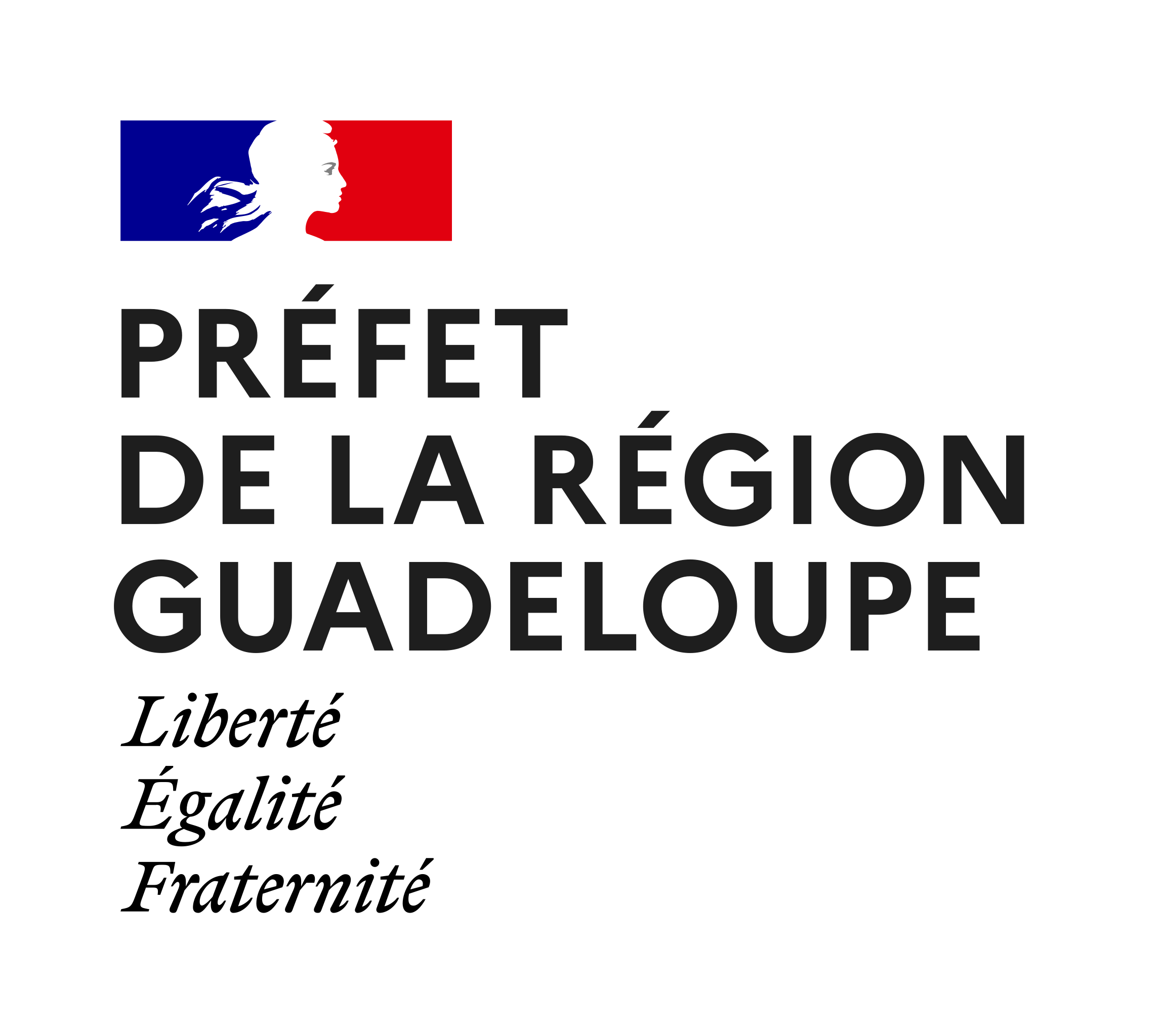 Partenaire institutionnel