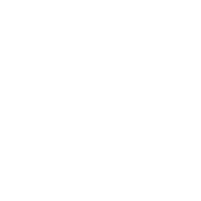 Icône 1