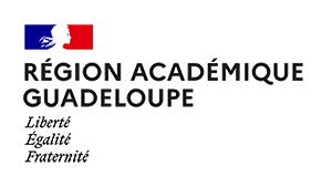 Logo Région Académique