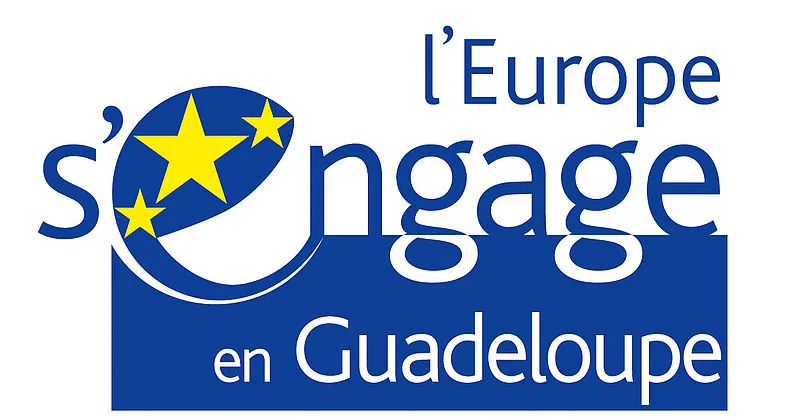 Le Fond Social Européen (FSE) choisi de soutenir le projet ODYSSEE
